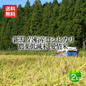 農薬低減米 岩船産コシヒカリ 愛情米 玄米 2kg 2キロ(新米 令和7年産 米 お米 新潟 新潟米 コシヒカリ)