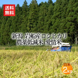 農薬低減米 岩船産コシヒカリ 愛情米 白米 精米 2kg 2キロ(新米 令和7年産 米 お米 新潟 新潟米 コシヒカリ)