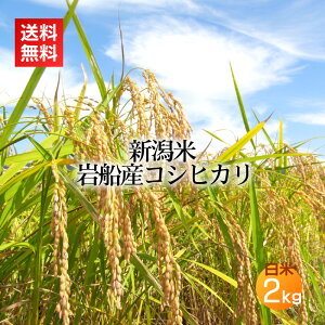 DYRVqJ  2kg(V ߘa7NY   V V RVqJ Ђ DY)