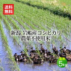 農薬無使用米 岩船産コシヒカリ 玄米 5kg＜あす楽・即日発送＞(農薬不使用 アイガモ農法 合鴨 米 お米 新潟 新潟米 コシヒカリ)