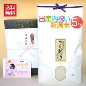 oYj 5kg^V  oYj  5L oY j Ԃ ʐ^ bZ[WJ[h J[ht lC Mtg V RVqJ