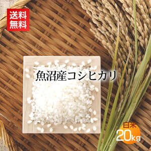 �����Y�R�V�q�J�� �싛���Y ���āE���� 20kg(10kg×2��)�^�ߘa7�N�Y �����Y �R�V�q�J�� �����Ђ��� �����R�V�q�J�� �� ���� �V���� �V���Y 20�L�� ������ �u�����h�� ��������