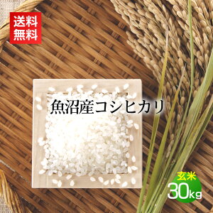 �����Y�R�V�q�J�� �싛���Y ���� 30kg(10kg×3��)�^�ߘa7�N�Y �����Y �R�V�q�J�� �����Ђ��� �����R�V�q�J�� �� ���� �V���� �V���Y 30�L�� ������ �u�����h�� ��������