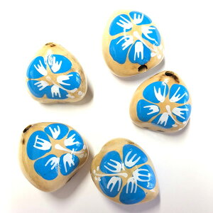 NNC Lhibc VF i`NNC Fy0194z 5Zbgi5jn  Ȃ nCA{C NNCibc wAS ANZT[