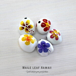 NNC Lhibc y0056z A\[g5Zbgi5jzCg n nCrXJX vA  Ȃ ubN nCA{C NNCibc wAS ANZT