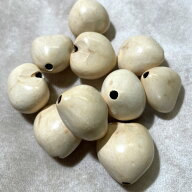 NEW 新色 ニューカラー 新入荷 ククイ キャンドルナッツ 【0215】 10個セット（10個入） ククイ ナチュラ…