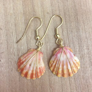 yzTCYVF nC ANZT[ sAX CO nhCh 1_ fB[X }eBbNWG[ nhCh WG[ nCA ANZT[