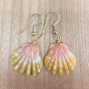 yzTCYVF nC ANZT[ sAX CO nhCh 1_ fB[X }eBbNWG[ nhCh WG[ nCA ANZT[sun-er-00