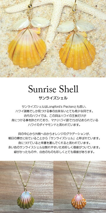 楽天市場】【送料無料】サンライズシェル ハワイ アクセサリー 