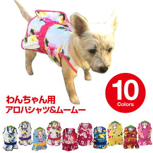 犬用ペット服 アロハシャツ ペットの通販 価格比較 価格 Com