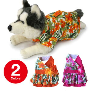   hbOEFA   AnVc  [[ hbO pet ybgEFA ԕ vg [[ ybg IW sN nCrXJX  ͂ ށ[ށ[