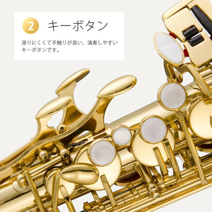 楽天市場】アルトサックス 初心者セット E Saxophone ゴールドラッカー  