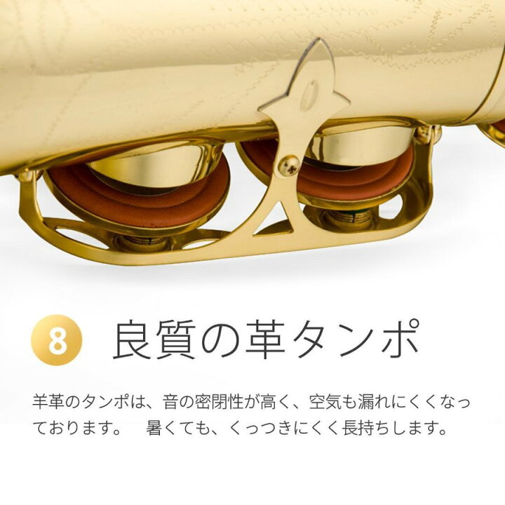 楽天市場】アルトサックス 初心者セット E Saxophone ゴールドラッカー 