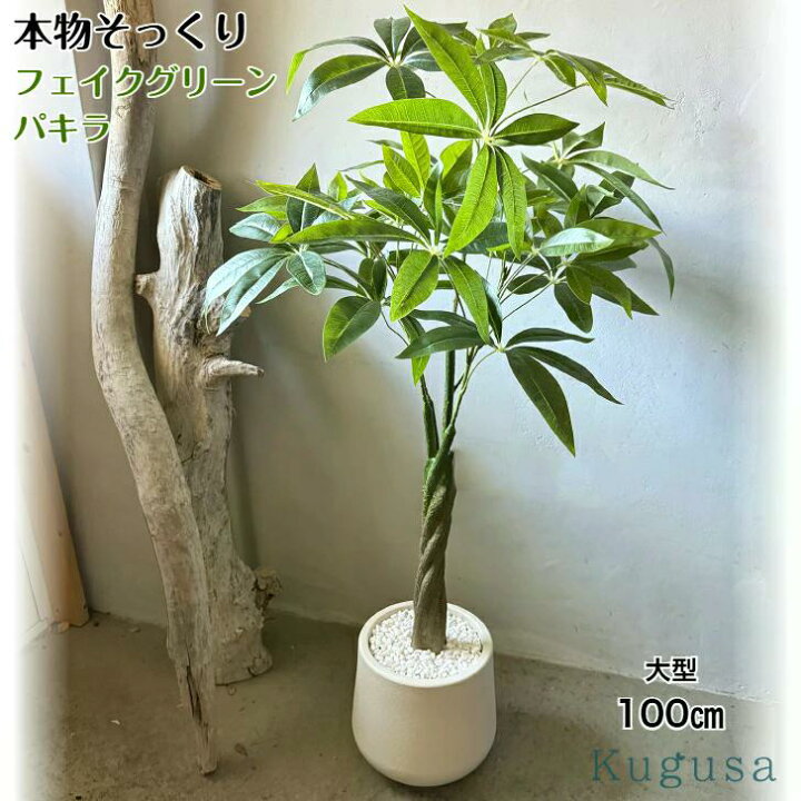 楽天市場】フェイクグリーン 大型 パキラ リアル 人工観葉植物 観葉 