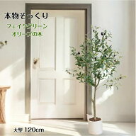 フェイクグリーン オリーブ オリーブの木 リアル 人工観葉植物 観葉植物 フェイク 大型 造花 120cm イン…