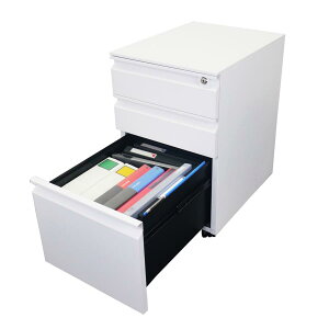 fXNS TChS t i 3i LX^[t ItBXS 40 ubN zCg