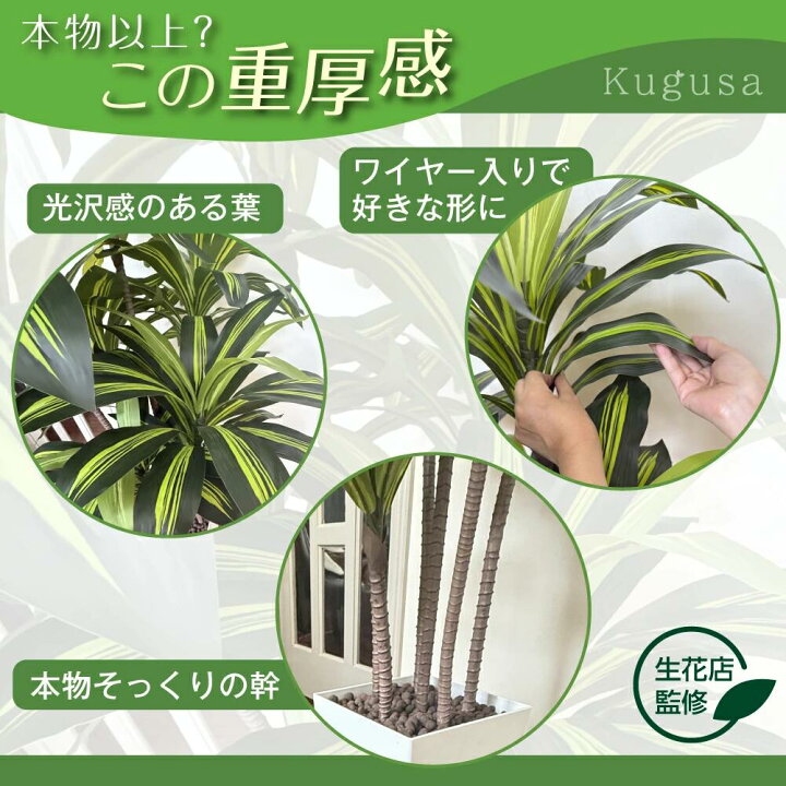 楽天市場】【生花店監修】 フェイクグリーン ドラセナ 150cm 大型 観葉 