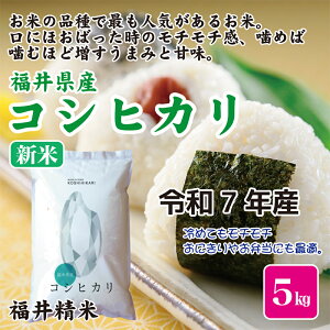 V   5kg ߘa7NY 䌧Y RVqJ 䐸āyЂzyyMt_zyyMt_̂z
