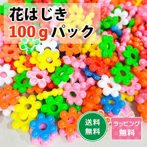 Ԃ͂ 100g pbN J[A\[g Jt t[r[Y `F[O ܂܂ Jt H mߋ c q  | ޗ ۈ牀 ct a v[g Mtg 