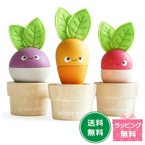 gCo X^bLOxW^uY pY  ܂܂ ςݖ pY 킢 1Δ 2 3 4 ̎q j̎q ct ۈ牀 q c av[g Ԃ  Mtg 