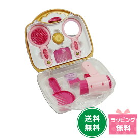 【ポイント10倍】ヘアードレッサーセット