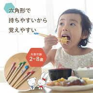 六角知能箸■絵柄あり■ 持ちやすい 箸 六角箸 こども 子供 せいわ 正規品 日本製 子ども お箸 練習 トレ…
