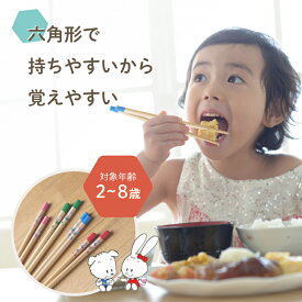 六角知能箸■絵柄あり■ 持ちやすい 箸 六角箸 こども 子供 せいわ 正規品 日本製 子ども お箸 練習 おけいこ トレーニング デビュー 食事 マナー 知育 入園 入学 準備 お弁当 給食 食洗機対応 滑り止め かわいい 持ちやすい キャラクター 男の子 女の子