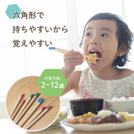 六角知能箸（無地） 持ちやすい 箸 六角箸 こども 子供 せいわ 正規品 日本製 子ども お箸 練習 おけいこ トレーニング デビュー 食事 マナー 知育 入園 入学 準備 お弁当 給食 食洗機対応 滑り止め かわいい 男の子 女の子 ギフト 送料無料