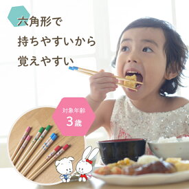 六角知能箸■絵柄あり■ 持ちやすい 箸 六角箸 こども 子供 せいわ 正規品 日本製 3歳用 幼児 子ども お箸 練習 トレーニング デビュー おけいこ 食事 マナー 知育 持ち方 矯正 幼稚園 保育園 お弁当 給食 食洗機対応 滑り止め かわいい 赤 ピンク 青 緑 3才 無地