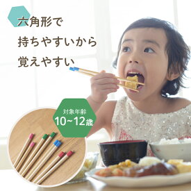六角知能箸(無地) 小学5・6年生用 持ちやすい 箸 六角箸 こども 子供 せいわ 正規品 日本製 子ども お箸 練習 トレーニング おけいこ 食事 マナー 知育 持ち方 矯正 小学生用 学校 お弁当 給食 食洗機対応 滑り止め かわいい 赤 ピンク 青 緑 進級