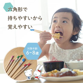 六角知能箸■絵柄あり■ 持ちやすい 箸 六角箸 小学1・2年生用 こども 子供 せいわ 正規品 日本製 子ども お箸 練習 トレーニング おけいこ 食事 マナー 知育 持ち方 矯正 小学生用 学校 お弁当 給食 食洗機対応 滑り止め かわいい 赤 ピンク 青 緑 6歳 7歳 8歳