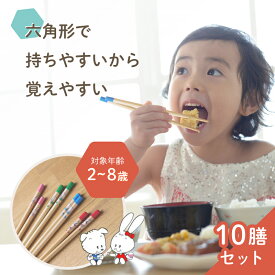【10膳セット】六角知能箸■絵柄あり■ 持ちやすい 箸 六角箸 こども 子供 せいわ 正規品 日本製 子ども お箸 練習 おけいこ トレーニング デビュー 食事 マナー 知育 入園 入学 準備 お弁当 給食 食洗機対応 滑り止め かわいい キャラクター 男の子 女の子 sby114