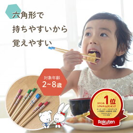 【楽天1位！】六角知能箸■絵柄あり■ 持ちやすい 箸 六角箸 こども 子供 せいわ 正規品 日本製 子ども お箸 練習 トレーニング 食事 マナー 知育 入園 入学 準備 お弁当 給食 食洗機対応 滑り止め かわいい 持ちやすい キャラクター 男の子 女の子