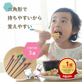 【楽天1位！】六角知能箸■絵柄あり■ 3歳用 持ちやすい 箸 六角箸 こども 子供 せいわ 正規品 日本製 幼児 子ども お箸 練習 おけいこ 食事 マナー 知育 持ち方 矯正 幼稚園 保育園 お弁当 給食 食洗機対応 滑り止め かわいい 赤 ピンク 青 緑 3才 無地 進級