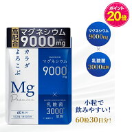 【マラソン限定★ポイント20倍 10/4 20:00-10/9 1:59迄】health＋ マグネシウムサプリ 高濃度 マグネシウ…
