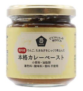 果実と野菜の本格カレーペースト 180g カレー カレーペースト グルテンフリー 小麦不使用 インド風カレー ノンオイル ムソー 送料無料