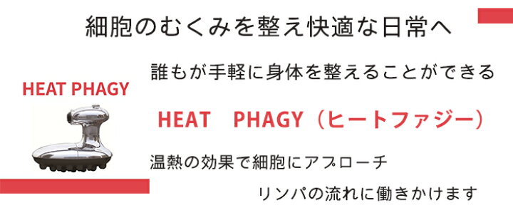 楽天市場】経絡温熱美容器 HEAT PHAGY（ヒートファジー） : 鍼灸用品 