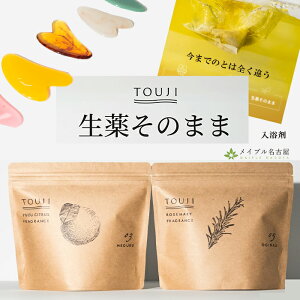 ܁@p@TOUJI@@10񕪁@{
