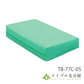 カラーマッサージマクラ　TB-77C-05　高田ベッド製作所