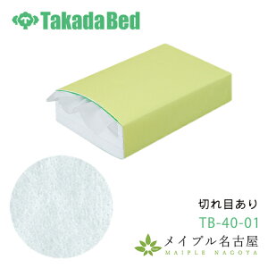 fBX|tFCXy[p[@؂ڂ@TB-40-01@500@cxbh