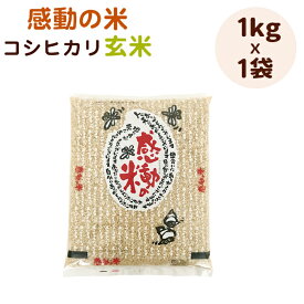 令和5年福井県産感動の米コシヒカリ玄米1kg