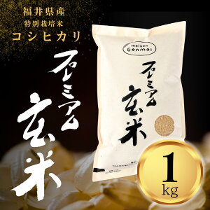 ʍ͔| v~A1kg 䌧YRVqJ
