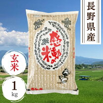 楽天市場】長野県産 コシヒカリ 玄米の通販