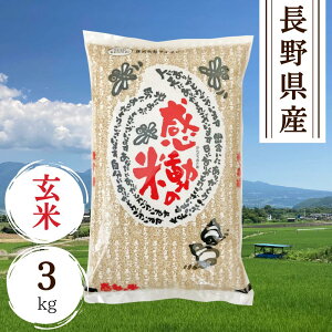 쌧Y ̕ăRVqJ 3kg c_򌟍 FʑI ʍ͔|