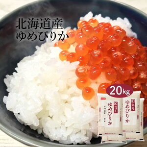 yBōő|Cg10{!z 20kg ߂҂肩 kCY 2024NY ߘa6NY     5kg×4 20L Pꌴ Ĕ  e oY  j 蕨 Mtg