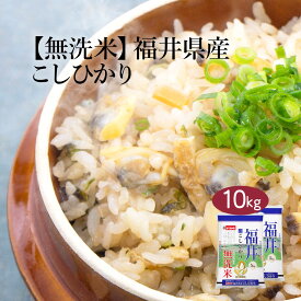 【LINE新規登録で150円OFFクーポン】 無洗米 米 10kg コシヒカリ 福井県産 令和5年産 送料無料 お米 白米 精米 こしひかり 5kg×2袋 10キロ 単一原料米 安くて美味しい 生活 両親 出産 挨拶 贈り物 ギフト 香典 お返し おこめ おくさま印 備蓄米