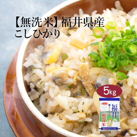 【本日限定ポイント最大5倍】無洗米 米 5kg コシヒカリ 福井県産 2025年産 令和7年産 送料無料 お米 白米 精米 こしひかり 5キロ 単一原料米 安くて美味しい 生活 両親 出産 結婚 内祝い 挨拶 粗品 贈り物 ギフト お返し おくさま印 米