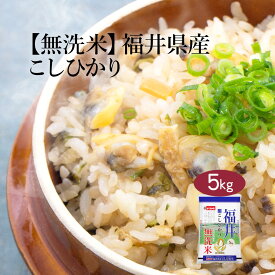 【LINE新規登録で150円OFFクーポン】 無洗米 米 5kg コシヒカリ 福井県産 令和5年産 送料無料 お米 白米 精米 こしひかり 5キロ 単一原料米 安くて美味しい 生活 両親 出産 結婚 内祝い 挨拶 粗品 贈り物 ギフト 香典返し お返し おこめ おくさま印 備蓄米