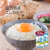 楽天市場】近江米 コシヒカリ 10kgの通販 