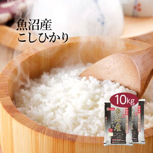  10kg w|Cgő5{Ix RVqJ Y VY 2025NY ߘa7NY     Ђ 5kg×2 10L Pꌴ Ĕ  e oY 蕨 Mtg 